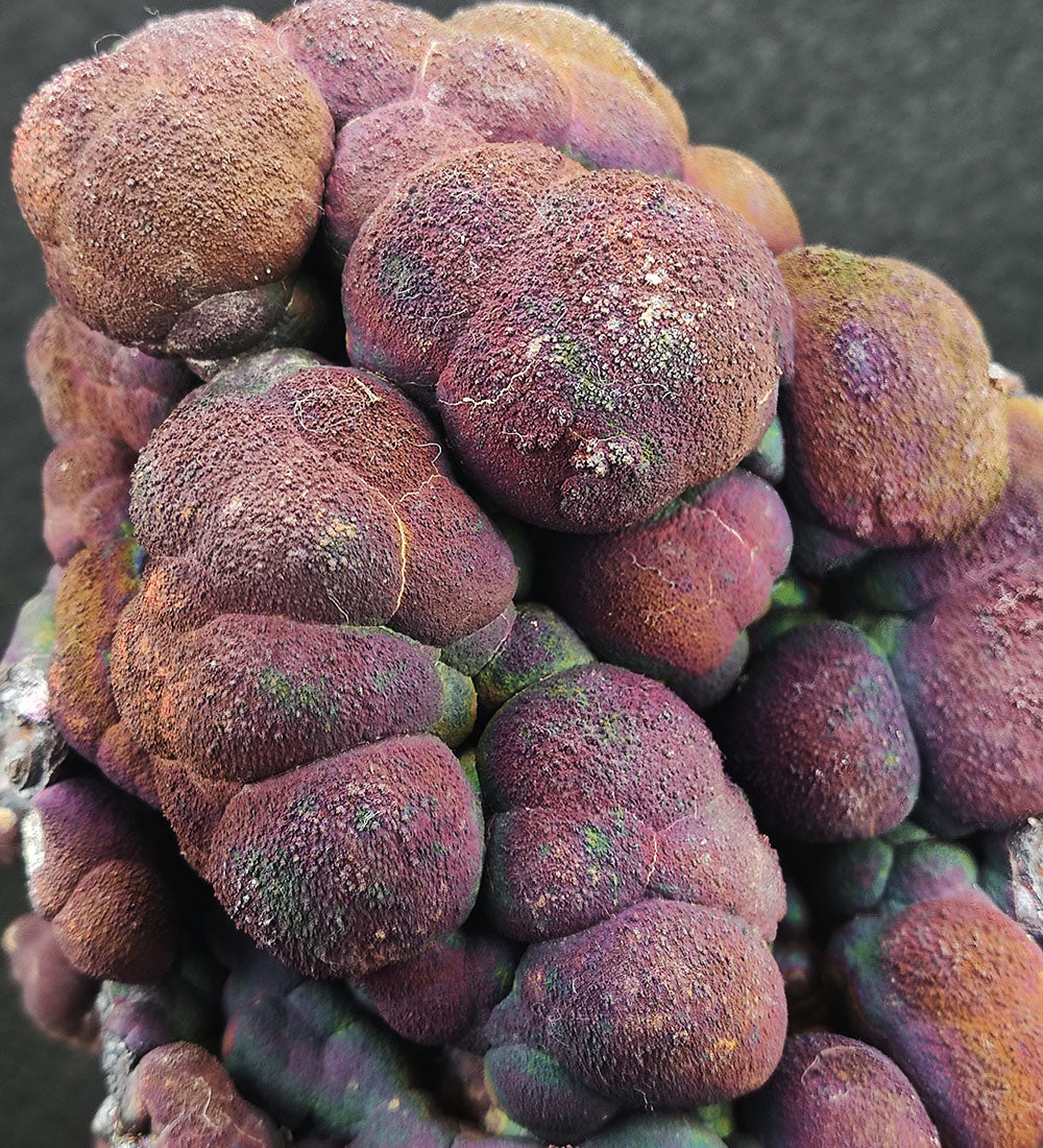 Goethite shape similar:Kyoho grape | 1.5 kg Big ornaments | Top premium rare Iridescent Goethite, Turgite, Hematite, Iridescent | COLOUR:violet-red , Silver| 100% natural color |