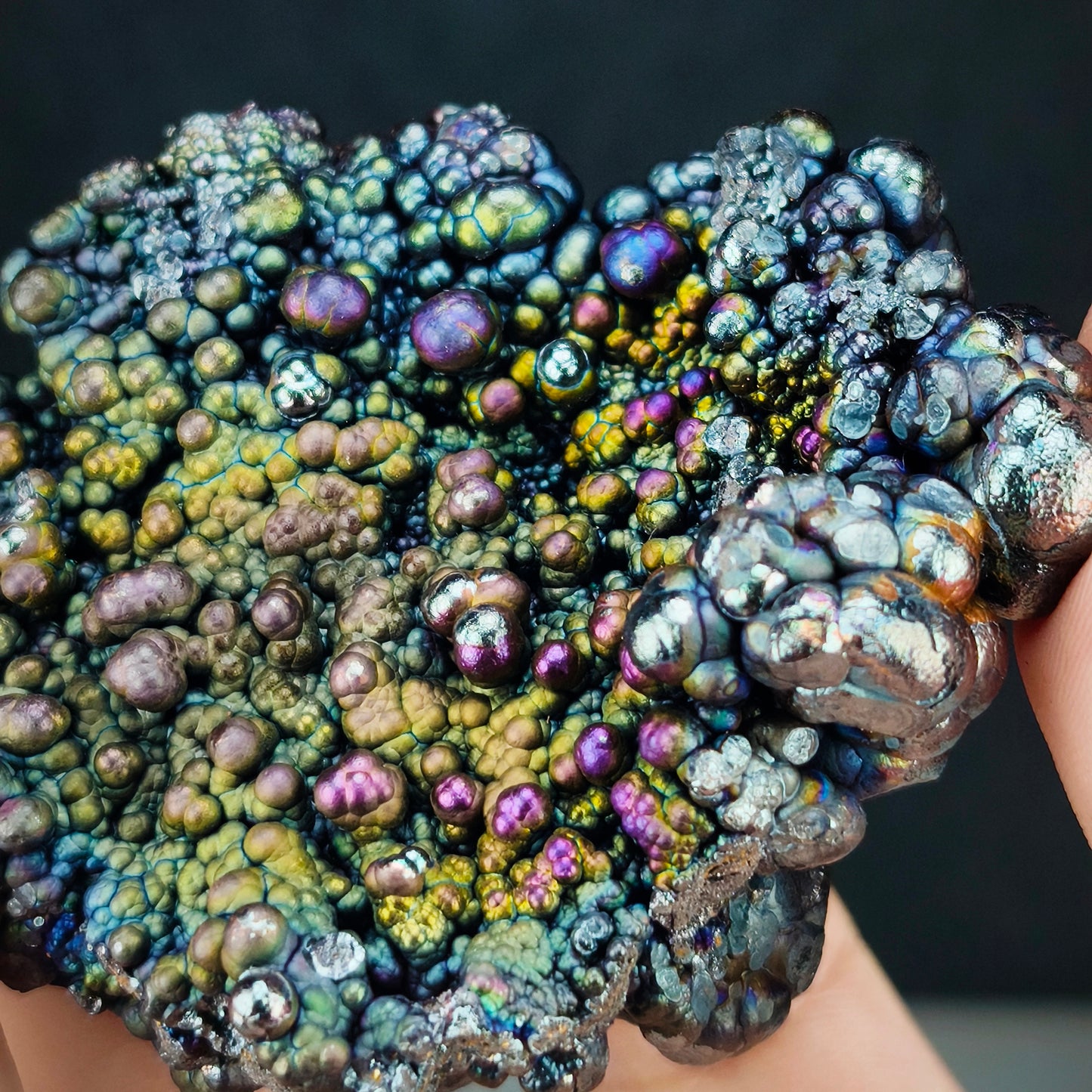 Top-Grade Double-Sided Grand Buddha | Romance & Allure Magnet | Grand Bead Shape | Goethite LekLai