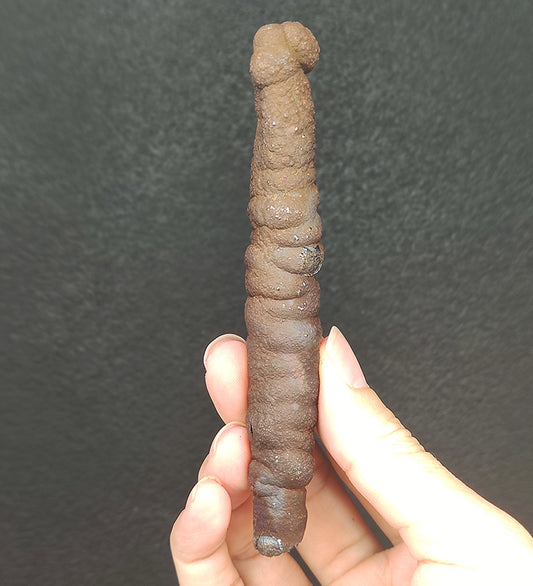 “顶级”12cm 老料大佛柱 | 稀有完整圆头胆料 | 皇极深紫显色、权威镇守与灵性觉知 | 强力压场、辟邪、稳定磁场 | 马来西亚天然能量活石