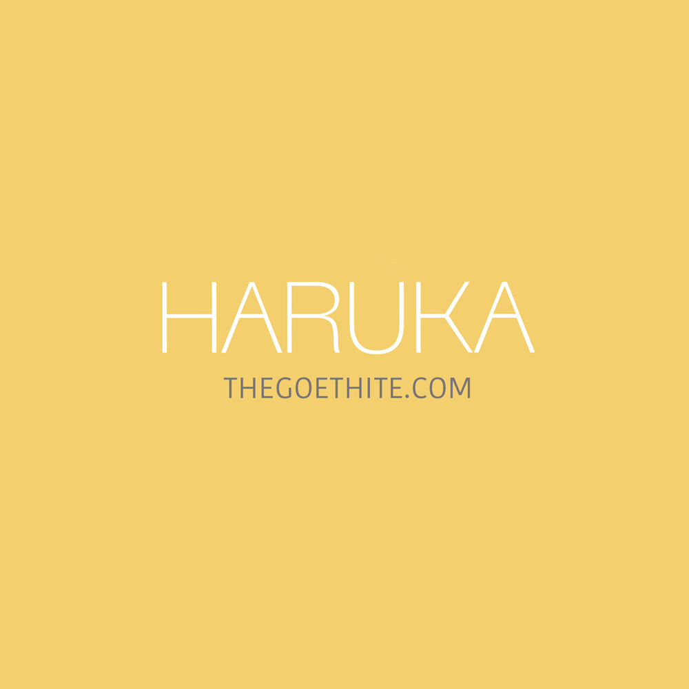 Payment - Hannah 1號