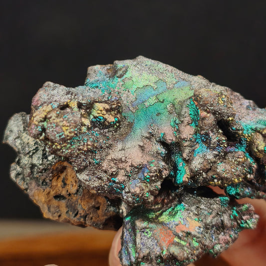 "Premium" Silver Leklai | Silver Shell Intensely Blooming Green, Blue & Gold (Approx. 7*3*5cm) | High-Level Symbiosis | Absolute Magnetic Shielding, Strongly Repelling Toxic People, Career Breakthrough & Wisdom Wealth | Malaysia Leklai
