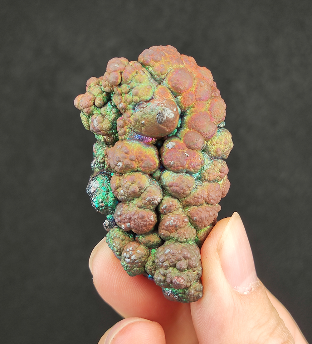 | 頂級 | 菩提珠 | 仙人掌形態 | 爆色之最 | 珠珠 | 力泥 | 稀有 |