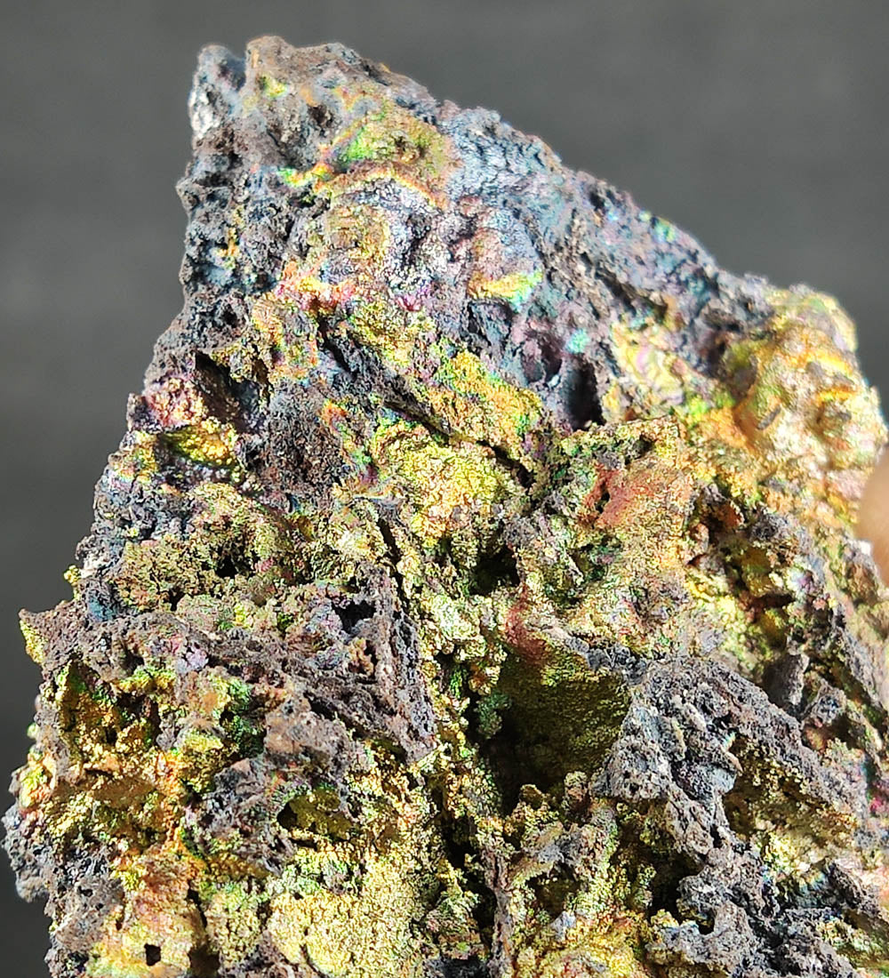| 黃金系 | 金金 x 七彩力泥 | 膽料 | 力泥 |