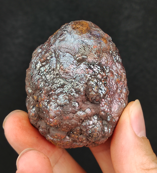 「頂級」金銀粉系金醒仔膽 | 圓潤厚實能量最強「一粒膽」 | 皇牌品種、高階金色蛻變顯化 | 財富豐盛、強效屏蔽小人與人緣和合 | 馬來西亞力泥
