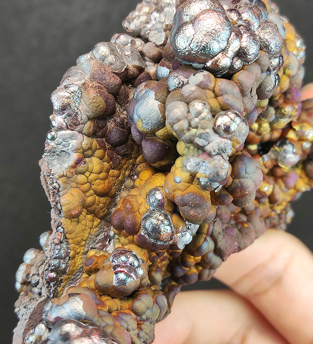 | 頂級 | 亞嚕家大佛珠 | 金龜造型 (長壽 、 招財) | 力泥 | 稀有 | 膽料 |
