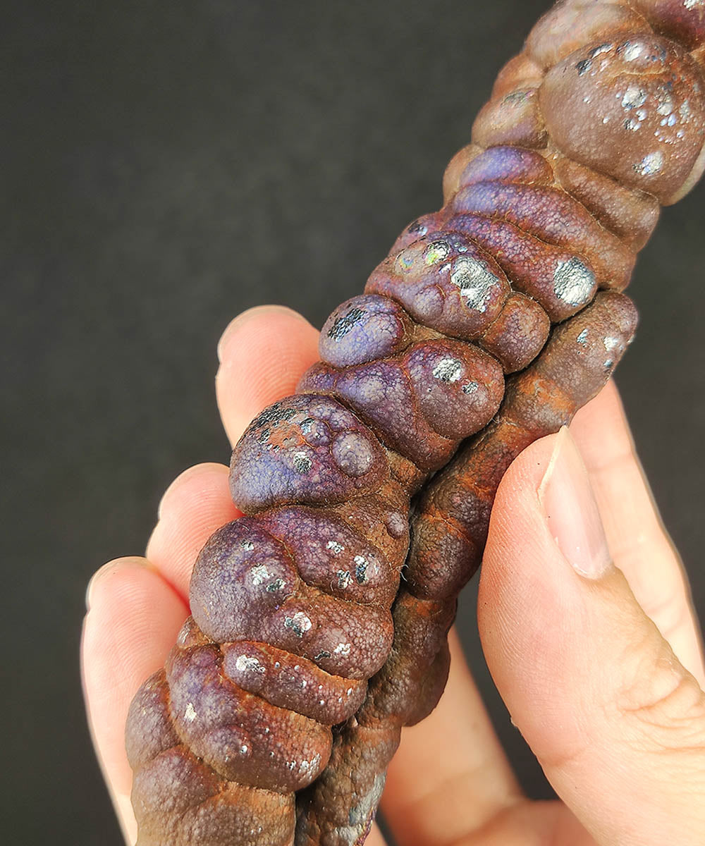 | Goethite Pillar(15cm) | Top premium rare Iridescent Goethite, Turgite, Hematite, Iridescent | COLOUR: Purple | 100% natural color |