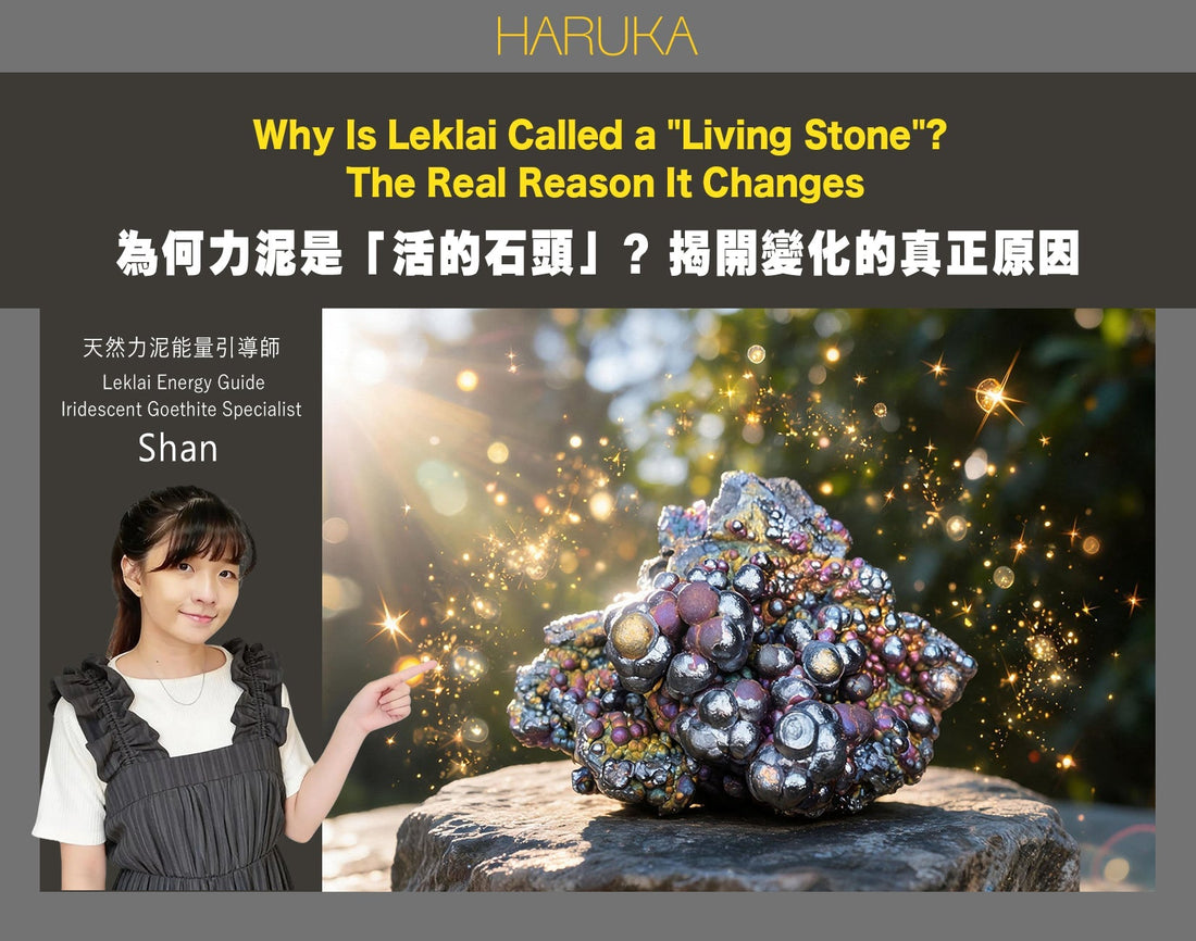 為什麼有人說力泥是「活的石頭」？揭開力泥會變化的真正原因