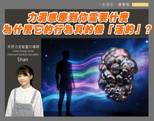 力泥感應到你需要什麼——為什麼它的行為真的像「活的」？