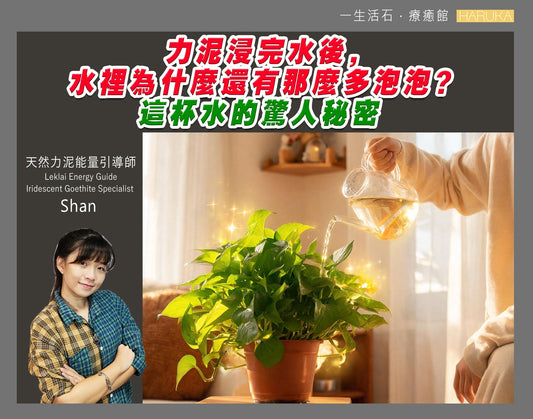 力泥浸完水後，水裡為什麼還有那麼多泡泡？這杯水的驚人秘密