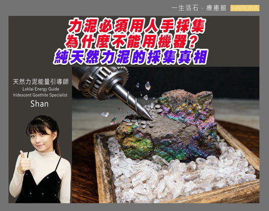 力泥必須用人手採集——為什麼不能用機器？純天然力泥的採集真相