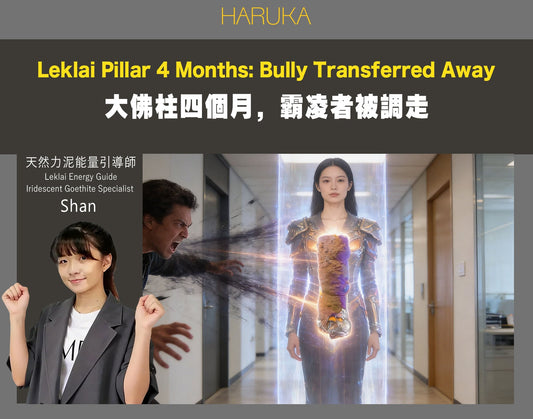職場霸凌讓她每天以淚洗面——帶回大佛柱四個月後，那個人被調走了｜【真實故事 No.0019】