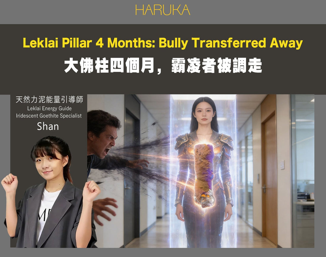 職場霸凌讓她每天以淚洗面——帶回大佛柱四個月後，那個人被調走了｜【真實故事 No.0019】