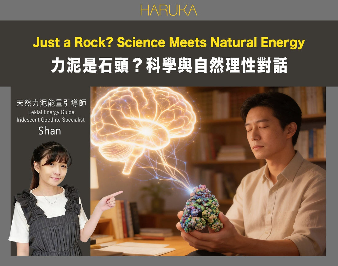 「你信這是石頭嗎？」——關於科學與自然的一場理性對話