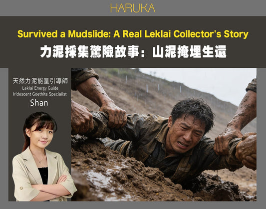 一個驚險的力泥採集真實故事——被山泥掩埋，慶幸安全回家