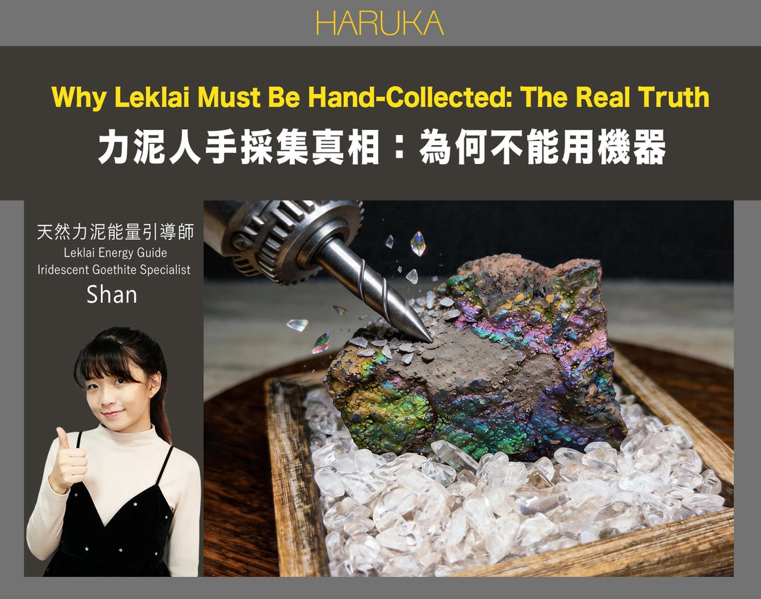 力泥必須用人手採集——為什麼不能用機器？純天然力泥的採集真相