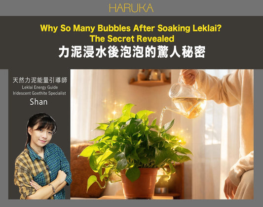 力泥浸完水後，水裡為什麼還有那麼多泡泡？這杯水的驚人秘密