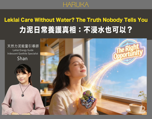 不浸水也可以照顧力泥嗎？關於力泥日常養護，沒有人告訴你的真相（包含教學）
