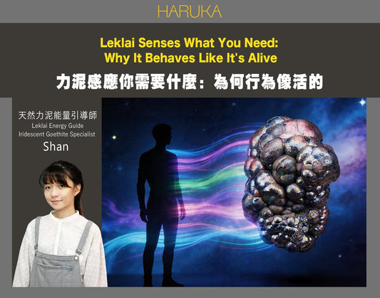 力泥感應到你需要什麼——為什麼它的行為真的像「活的」？