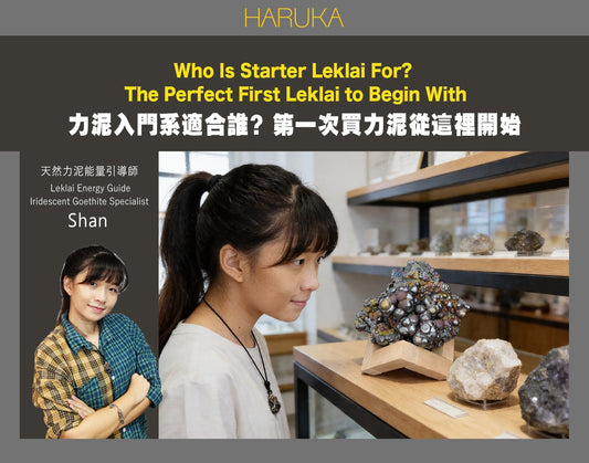 力泥入門系適合誰？第一次買力泥從這裡開始