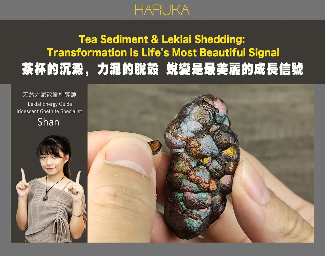 茶杯裡的沉澱，力泥上的脫殼——蛻變，是生命最美麗的成長信號