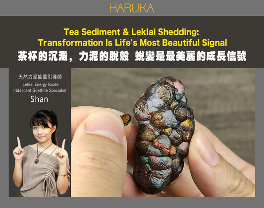 茶杯裡的沉澱，力泥上的脫殼——蛻變，是生命最美麗的成長信號