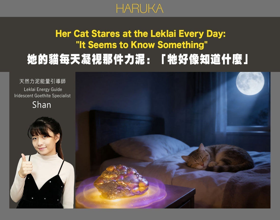 她的貓每天凝視那件力泥——她說：「牠好像知道什麼」｜【真實故事 No.0023】