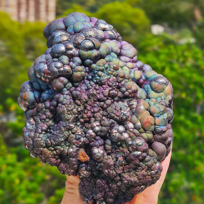 | Top premium rare Iridescent Goethite, Turgite, Hematite, Iridescent | COLOUR: Purple Green Blue | 100% natural color |