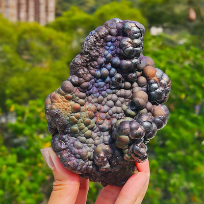 | Top premium rare Iridescent Goethite, Turgite, Hematite, Iridescent | COLOUR: Purple Green Blue | 100% natural color |