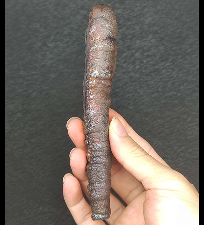 14cm 老料大佛柱 | 博物館級膽料 | 極致指向性驅逐小人 | 巔峰財富顯化與氣場防禦 | 事業壓場定海神針 | 正宗馬來西亞力泥