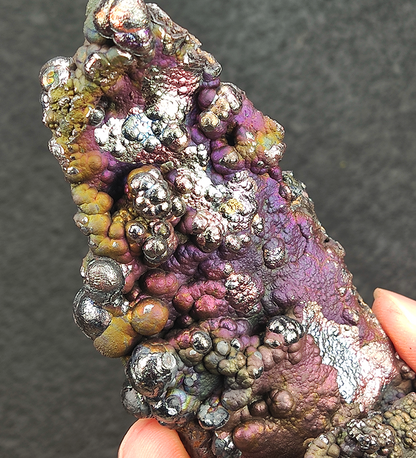 Top Grade | Token Shape Haruka Great Buddha Bead | Rare Purple & Silver | Authority & Mentorship | Malaysia Leklai