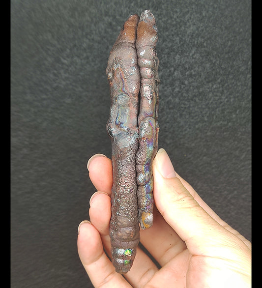 Premium 13cm Twin Pillar Round Head Leklai | Rare Double Core Old Material | Full-Frequency Directional Defense | Career Doubling & Mentor Manifestation | Malaysia Natural Leklai