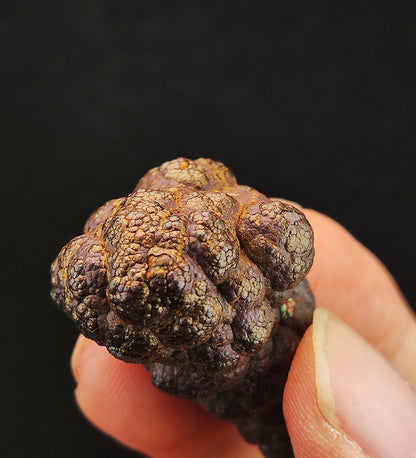 "Top Grade" Golden Dotted Pillar | Round-Head Aged Material | Peak Windfall Wealth, Precise Deflection of Gossip & Aura Strengthening | Rare Gold-Silver Aged Core | Malaysia Leklai