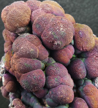 Goethite shape similar：Kyoho grape |  1.5 kg Big ornaments | Top premium rare Iridescent Goethite, Turgite, Hematite, Iridescent | COLOUR:violet-red , Silver| 100% natural color |