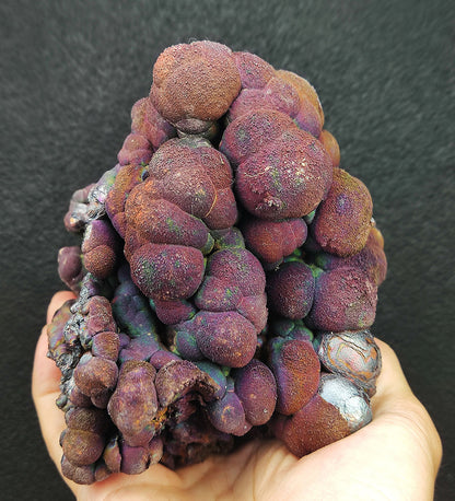 Goethite shape similar：Kyoho grape |  1.5 kg Big ornaments | Top premium rare Iridescent Goethite, Turgite, Hematite, Iridescent | COLOUR:violet-red , Silver| 100% natural color |