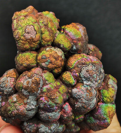 頂級金金膽  黃金綠色   金金膽系  力泥活石  膽系