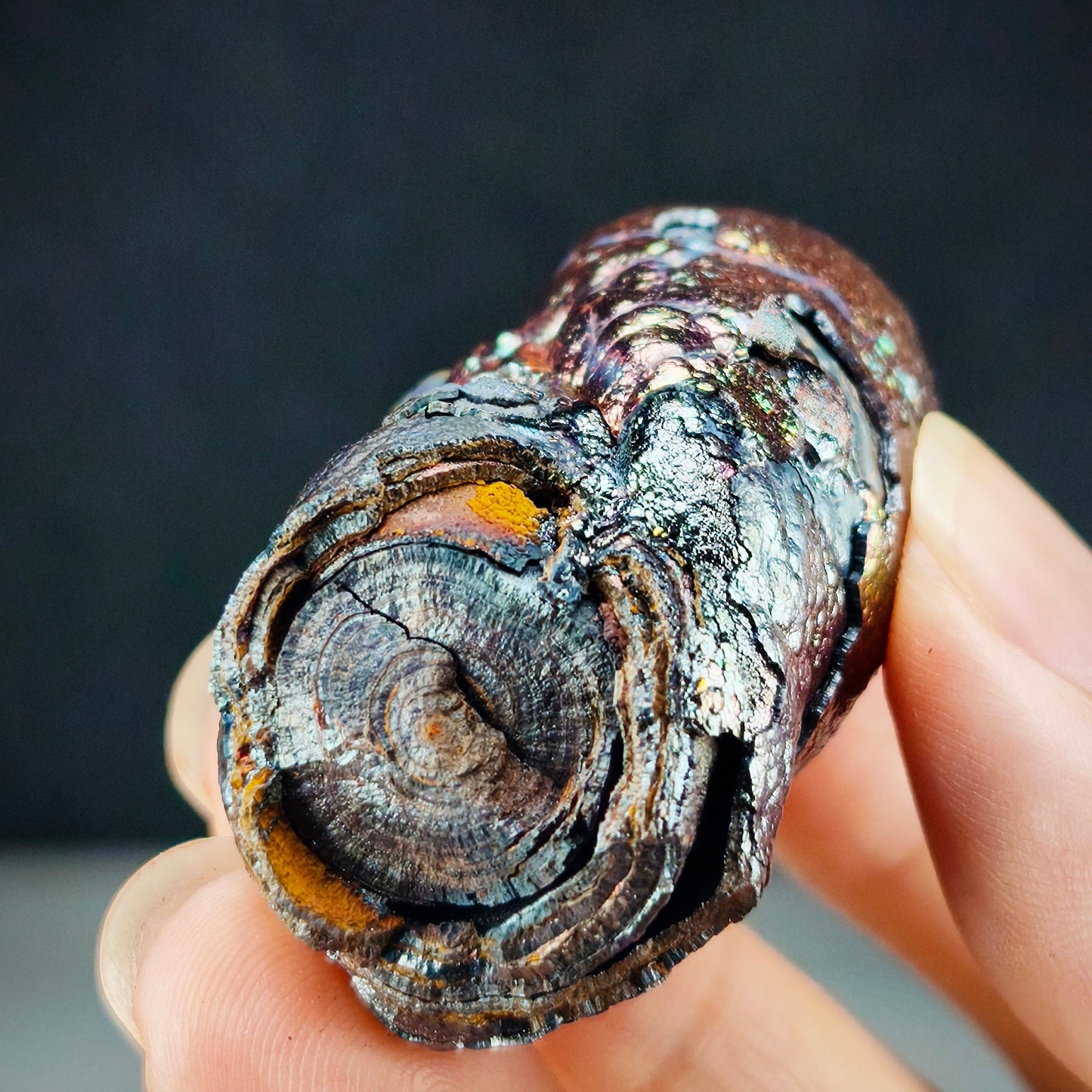 大佛柱｜圓頭柱柱造型｜銀金粉三色｜力泥活石｜Leklai Iridescent Goethite