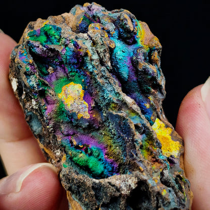 Ocean Blue Rainbow Leklai | Health, Stability, Career & Opportunities