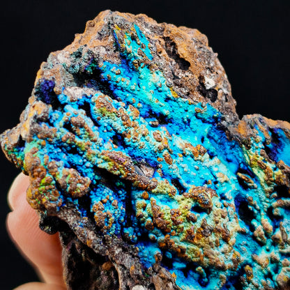 Ocean Blue Rainbow Leklai | Health, Stability, Career & Opportunities
