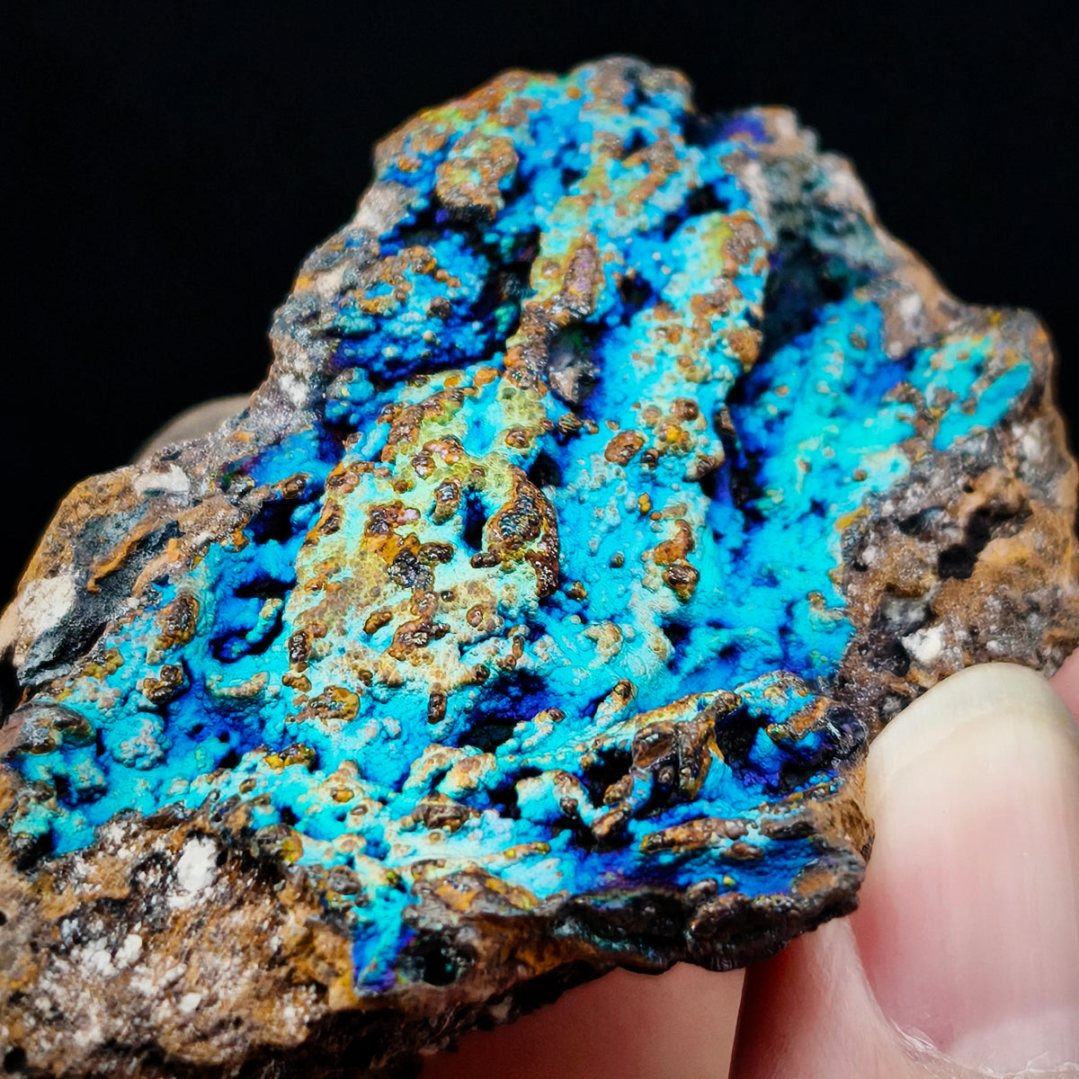 Ocean Blue Rainbow Leklai | Health, Stability, Career & Opportunities