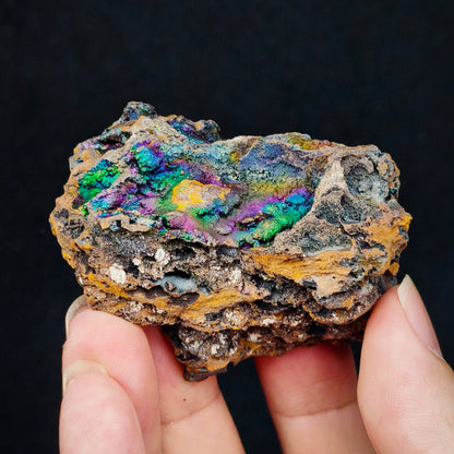 Ocean Blue Rainbow Leklai | Health, Stability, Career & Opportunities