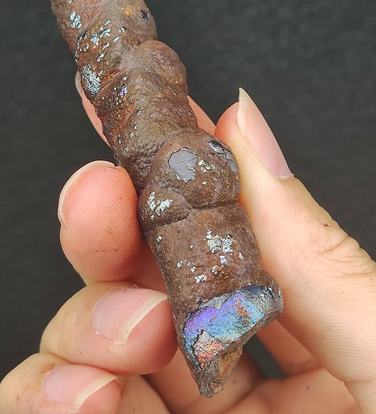 | Goethite Pillar(12cm) | Top premium rare Iridescent Goethite, Turgite, Hematite, Iridescent | COLOUR: Silver, Blue | 100% natural color |