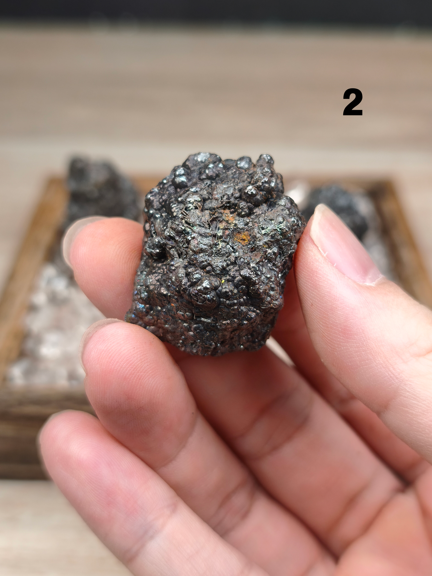 方解膽力泥活石 ｜ 3 件組合 ｜富貴米專用財氣能量套裝 （建議用9粒製作富貴米，能量更強）