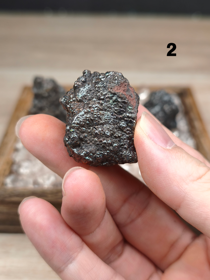 方解膽力泥活石 ｜ 3 件組合 ｜富貴米專用財氣能量套裝 （建議用9粒製作富貴米，能量更強）