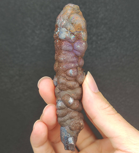 「顶级」10.5cm 一道彩虹老料大佛柱 | 罕见圆头饱满器型 | 能量强效指向性 | 精准反射是非、圆满守护与开启智慧之门 | 附送专属木架 | 马来西亚力泥