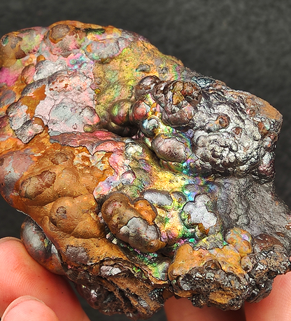 Collection Grade | Ultimate Golden Core | Last Extinct Material | Gold, Silver, Pink & Multi-Color | Supreme Wealth & Luck | Malaysia Leklai