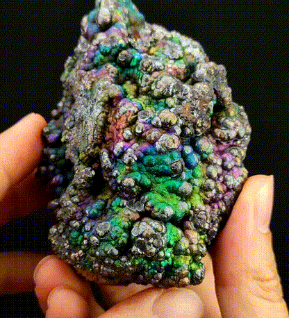 "Top Grade" Peak Color Bodhi Bead | Silver, Purple, Blue & Green Spectrum | Peak Career Pattern, High-Dimensional Healing & Absolute Protection | Rare Beaded Aged Core | Malaysia Leklai