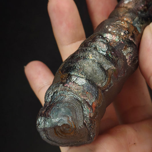 「頂級」大佛柱 (造型：宇宙簽約筆) | 姥姥殼老老礦 (高約 14.5*2cm) | 稀有深紫、粉色共生顯化 | 與宇宙簽約、地位權威、招貴人與全方位氣場修復 | 馬來西亞力泥