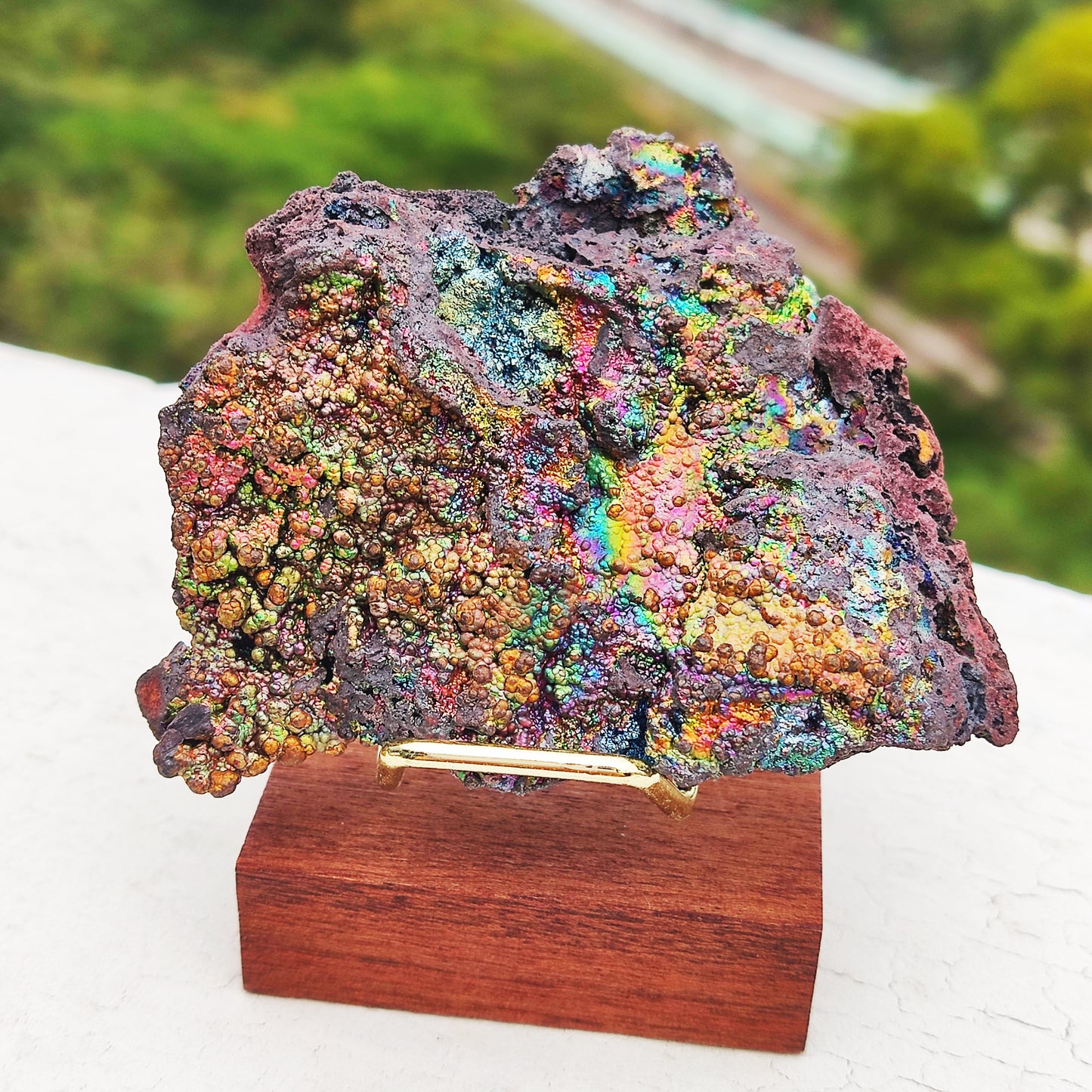 頂級七彩力泥活石原石 | 附專屬木架 (約 7x6cm) | 稀有全頻能量、大尺寸美艷收藏 | 全方位運勢提升、淨化守護 | 馬來西亞天然能量原礦