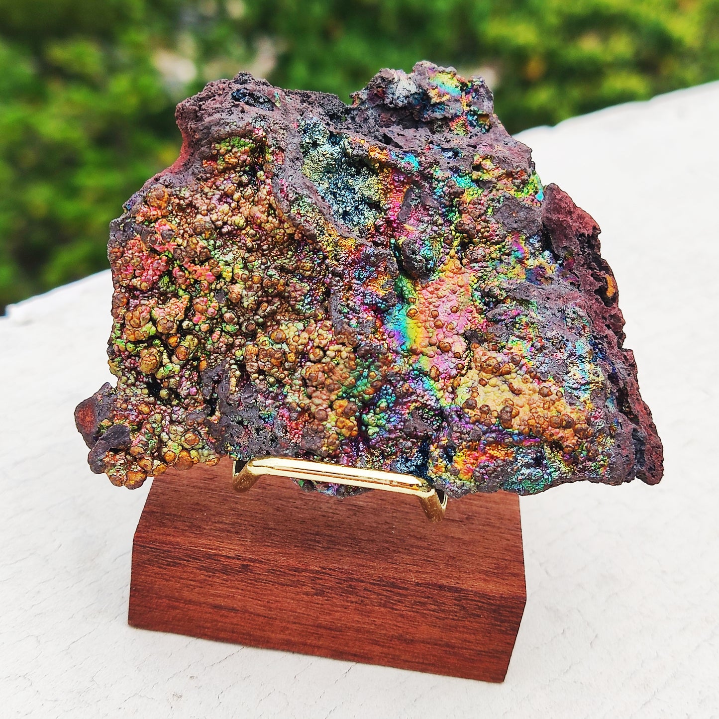 頂級七彩力泥活石原石 | 附專屬木架 (約 7x6cm) | 稀有全頻能量、大尺寸美艷收藏 | 全方位運勢提升、淨化守護 | 馬來西亞天然能量原礦