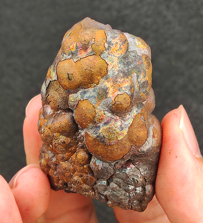 |頂級 | 老料金柱柱 | 力泥 | 膽料 |